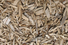 biomass boilers Pound